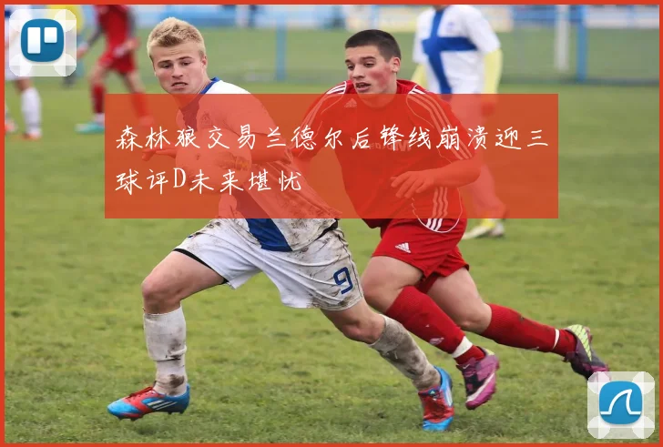 森林狼交易兰德尔后锋线崩溃迎三球评D未来堪忧