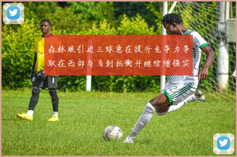 森林狼引进三球意在提升竞争力争取在西部与马刺抗衡并继续增强实力